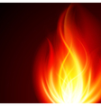 Abstract flame vector image
