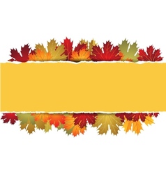 Autumn maple leaves background vector image
