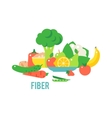 Vegetables food cellulose set vector image