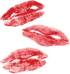 Lips imprint vector image