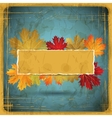 Autumn leaves background vector image