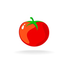 Tomato isolated single simple cartoon vector image