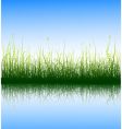 Green grass vector image