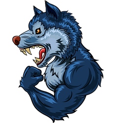 Cartoon of strong wolf character isolated vector image