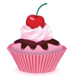 Cupcake with cherry vector image