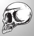 Skull sketch design element vector image