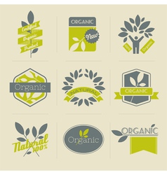Organic retro labels vector image