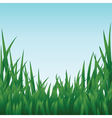 Green grass Green grass vector image