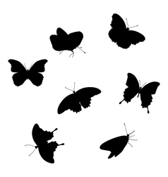 Set of butterflies vector image