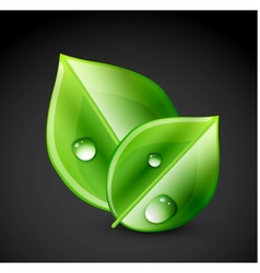 Green leaf ecology concept vector image