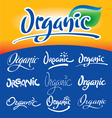 Organic hand lettering vector image