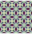 Ethnic modern geometric seamless pattern ornament vector image