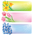 Horizontal spring banners of flowers vector image