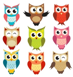 Owls vector image