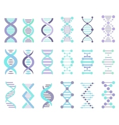 DNA Strands Set vector image