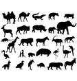 Animals of Africa vector image
