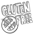 Doodle gluten free vector image