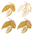 Cocoa beans vector image