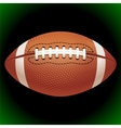 American football emblem vector image