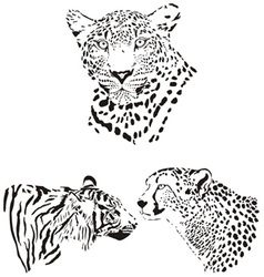Head of cheetah leopard and tiger vector image