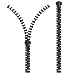Zipper 04 vector image