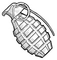Doodle grenade vector image