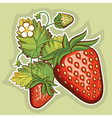 Red strawberries vector image