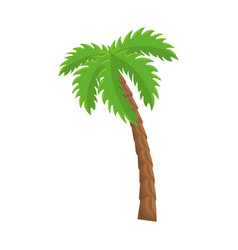 Isolated beach palm Isolated beach palm vector image