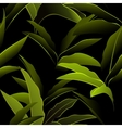 Tropical leaves seamless pattern vector image