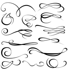 Calligraphic Elements vector image