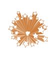 Star burst vector image
