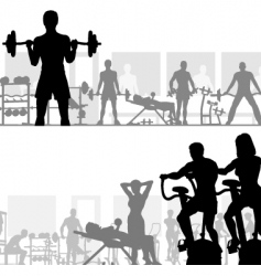 Gymnasium vector image