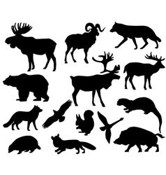 Animals of Europe Animals of Europe vector image