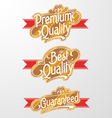 Decorative Text Banner vector image