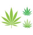 Hemp leaf vector image