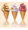 Three delicious ice cream vector image