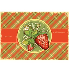 Strawberries vintage background vector image