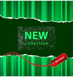 Fashion promotion vector image