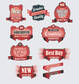 Premium Quality and Guarantee Labels Premium Quality and Guarantee Labels vector image