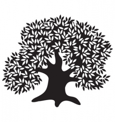 Olive tree vector image