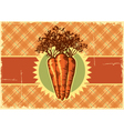 Carrots vintage label vector image