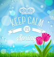 Keep calm its spring vector image