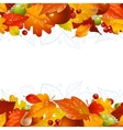Autumn background with fall leaf vector image
