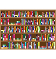 Books on the shelves vector image