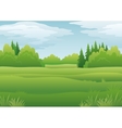 Landscape summer forest vector image