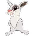 Rabbit cartoon vector image