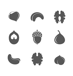 Nuts Icon set vector image