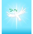 Dove vector image