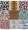 Animal skin texture set vector image