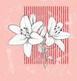 Flower Lily Hand drawn vector image